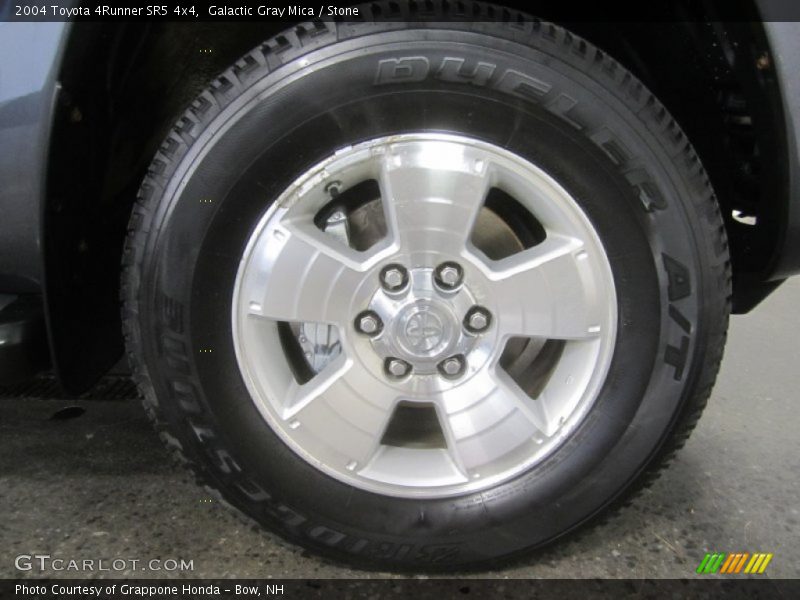 Galactic Gray Mica / Stone 2004 Toyota 4Runner SR5 4x4