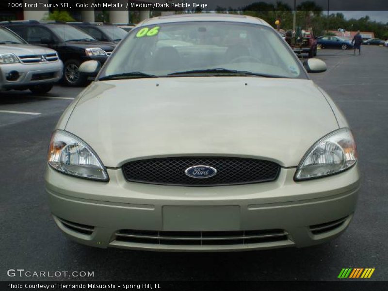 Gold Ash Metallic / Medium/Dark Pebble Beige 2006 Ford Taurus SEL