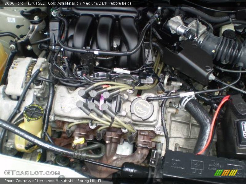 Gold Ash Metallic / Medium/Dark Pebble Beige 2006 Ford Taurus SEL