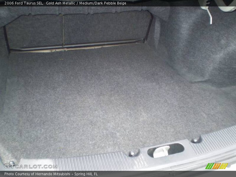 Gold Ash Metallic / Medium/Dark Pebble Beige 2006 Ford Taurus SEL
