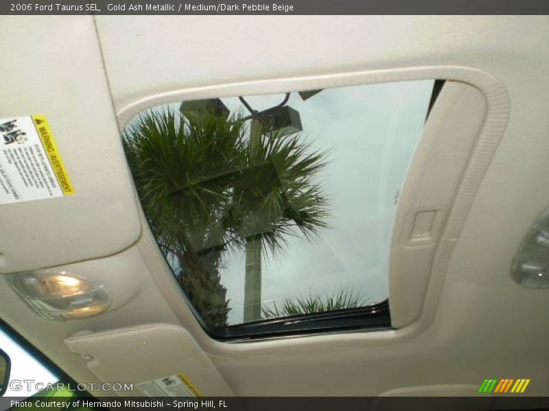 Gold Ash Metallic / Medium/Dark Pebble Beige 2006 Ford Taurus SEL