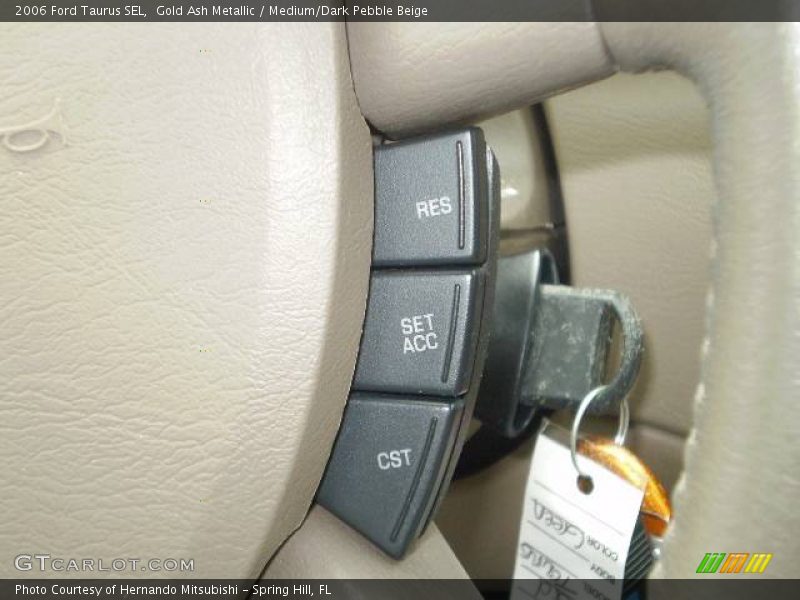 Gold Ash Metallic / Medium/Dark Pebble Beige 2006 Ford Taurus SEL