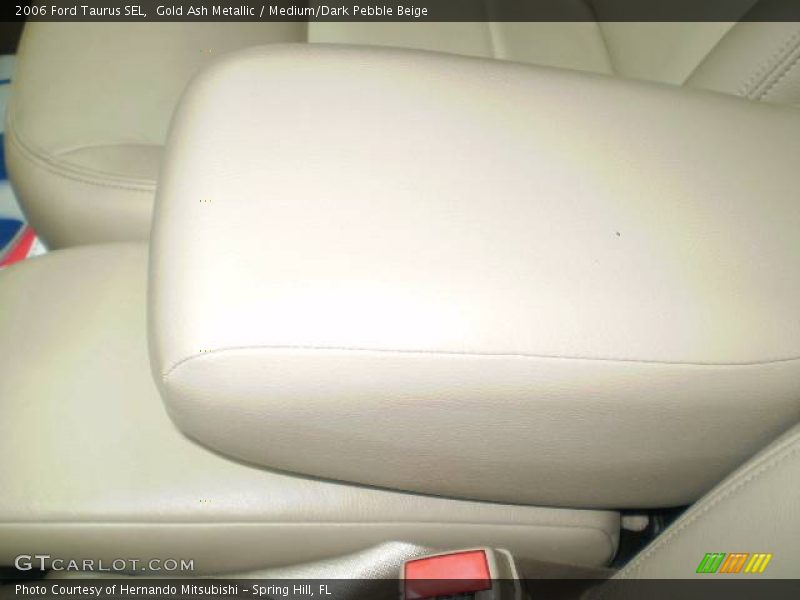Gold Ash Metallic / Medium/Dark Pebble Beige 2006 Ford Taurus SEL