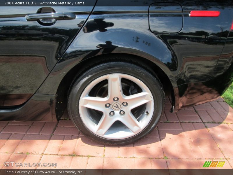 Anthracite Metallic / Camel 2004 Acura TL 3.2
