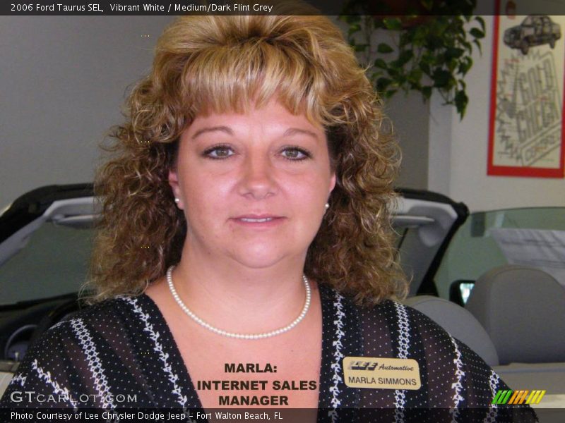 Vibrant White / Medium/Dark Flint Grey 2006 Ford Taurus SEL