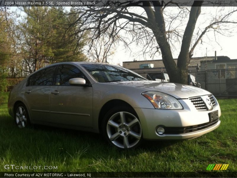 Spirited Bronze / Black 2004 Nissan Maxima 3.5 SE