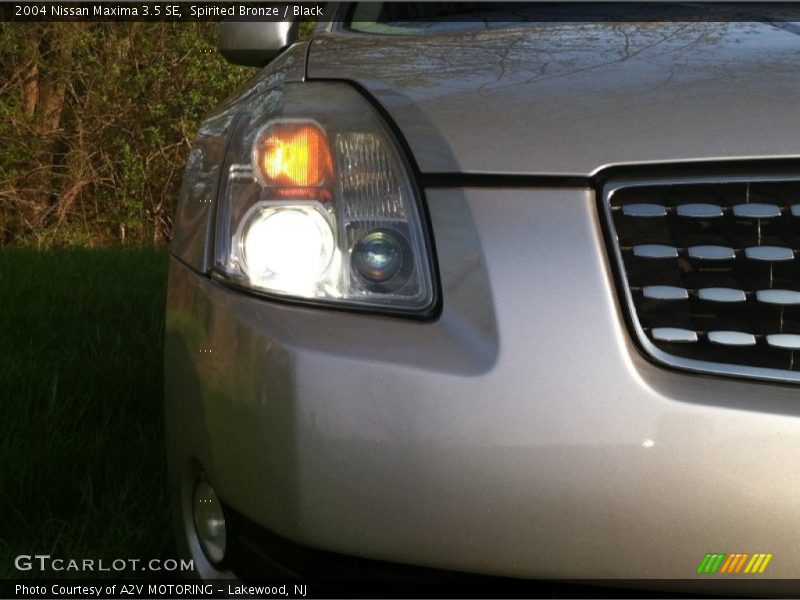 Spirited Bronze / Black 2004 Nissan Maxima 3.5 SE
