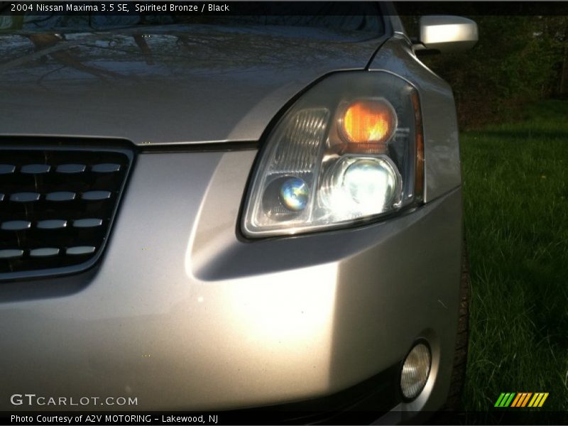 Spirited Bronze / Black 2004 Nissan Maxima 3.5 SE