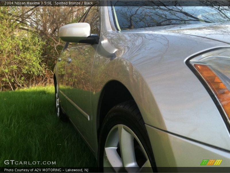 Spirited Bronze / Black 2004 Nissan Maxima 3.5 SE