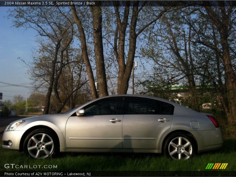 Spirited Bronze / Black 2004 Nissan Maxima 3.5 SE
