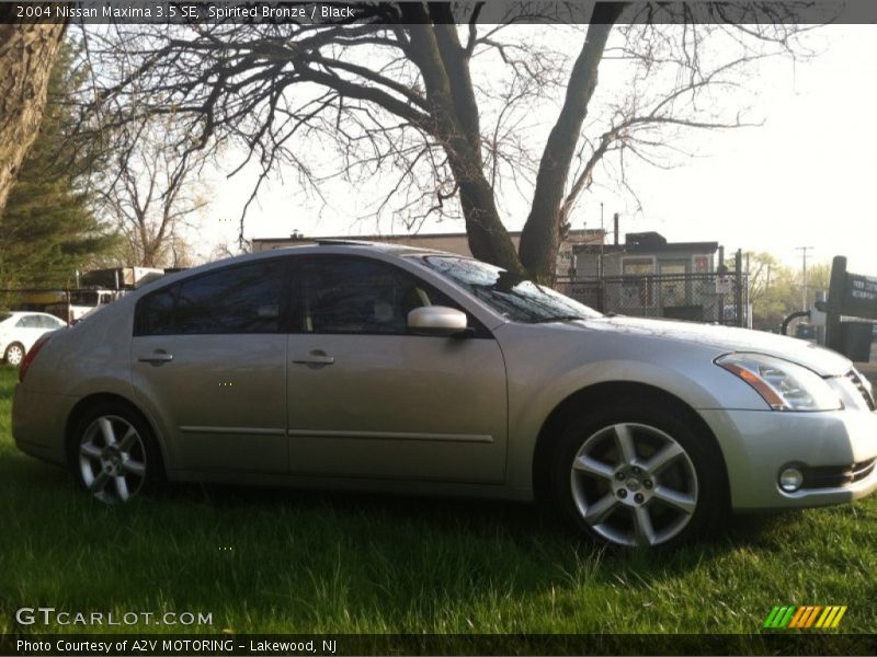Spirited Bronze / Black 2004 Nissan Maxima 3.5 SE