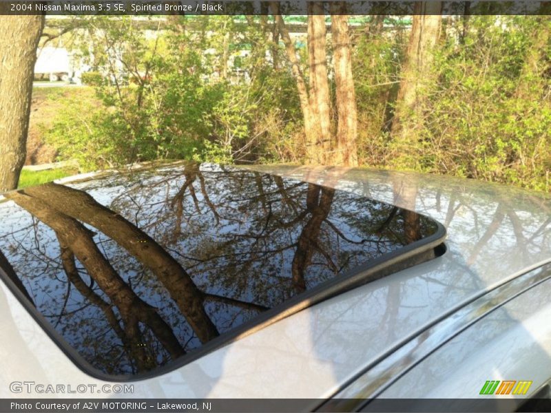 Spirited Bronze / Black 2004 Nissan Maxima 3.5 SE
