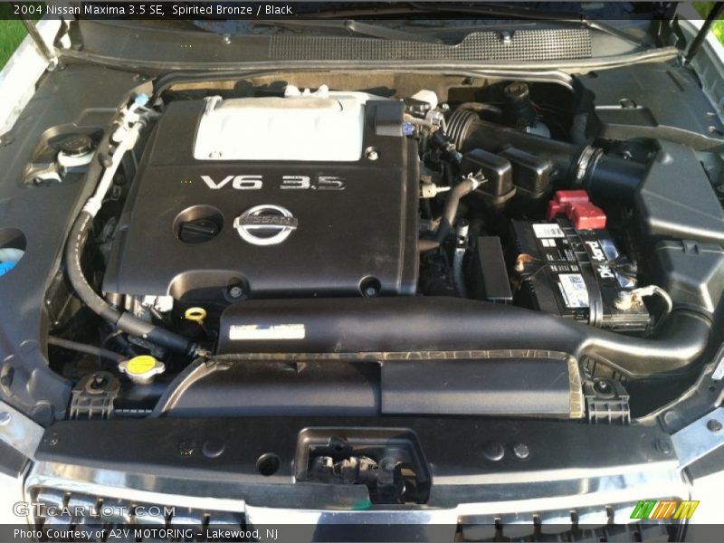 Spirited Bronze / Black 2004 Nissan Maxima 3.5 SE