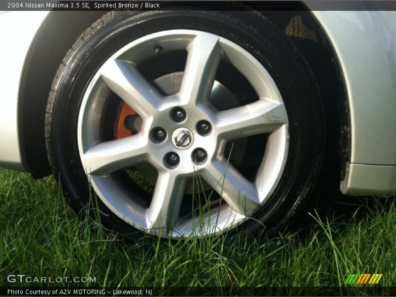 Spirited Bronze / Black 2004 Nissan Maxima 3.5 SE