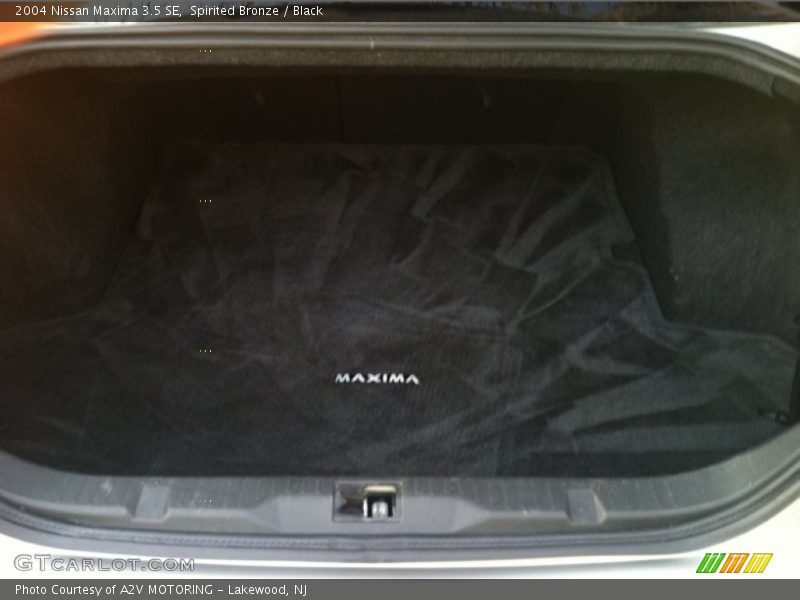 Spirited Bronze / Black 2004 Nissan Maxima 3.5 SE