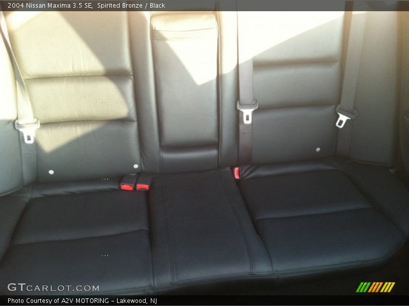 Spirited Bronze / Black 2004 Nissan Maxima 3.5 SE