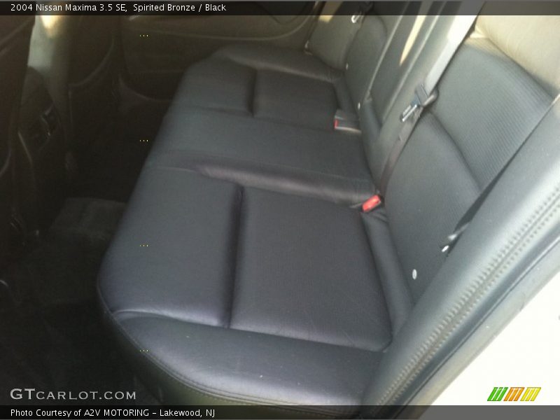 Spirited Bronze / Black 2004 Nissan Maxima 3.5 SE