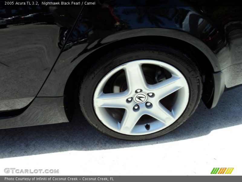 Nighthawk Black Pearl / Camel 2005 Acura TL 3.2