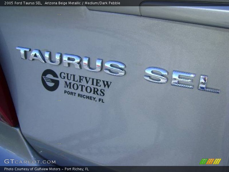 Arizona Beige Metallic / Medium/Dark Pebble 2005 Ford Taurus SEL