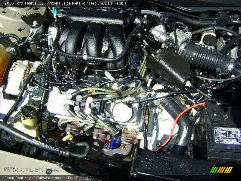 Arizona Beige Metallic / Medium/Dark Pebble 2005 Ford Taurus SEL