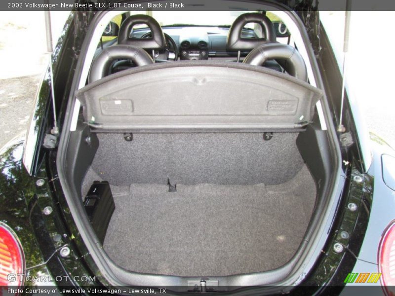 Black / Black 2002 Volkswagen New Beetle GLX 1.8T Coupe