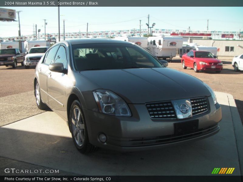 Spirited Bronze / Black 2004 Nissan Maxima 3.5 SE