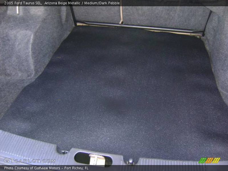 Arizona Beige Metallic / Medium/Dark Pebble 2005 Ford Taurus SEL