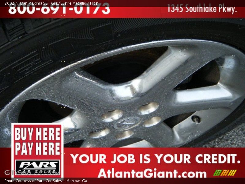 Gray Lustre Metallic / Frost 2002 Nissan Maxima SE