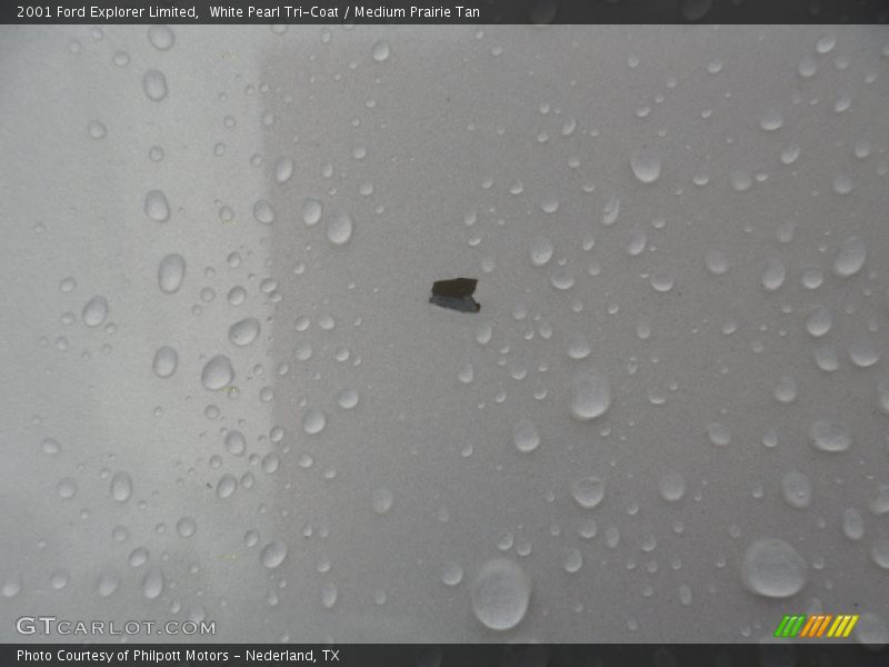 White Pearl Tri-Coat / Medium Prairie Tan 2001 Ford Explorer Limited