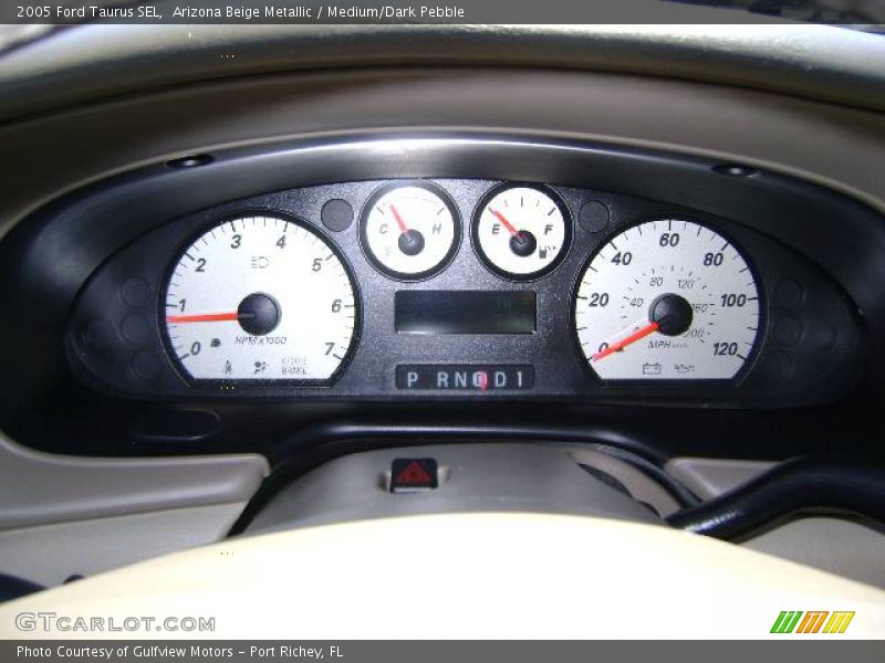 Arizona Beige Metallic / Medium/Dark Pebble 2005 Ford Taurus SEL