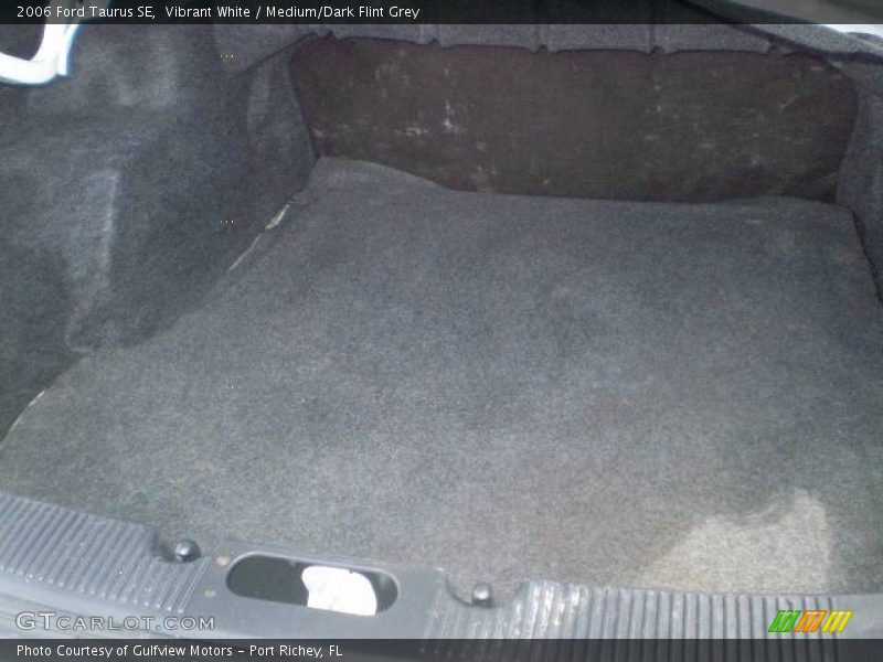 Vibrant White / Medium/Dark Flint Grey 2006 Ford Taurus SE