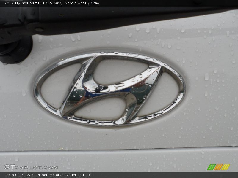 Nordic White / Gray 2002 Hyundai Santa Fe GLS AWD