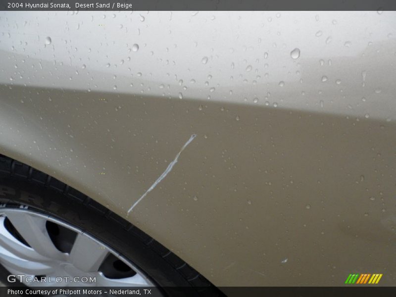 Desert Sand / Beige 2004 Hyundai Sonata