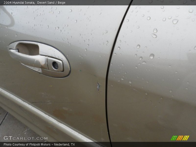 Desert Sand / Beige 2004 Hyundai Sonata