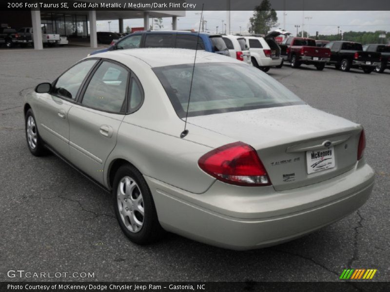 Gold Ash Metallic / Medium/Dark Flint Grey 2006 Ford Taurus SE