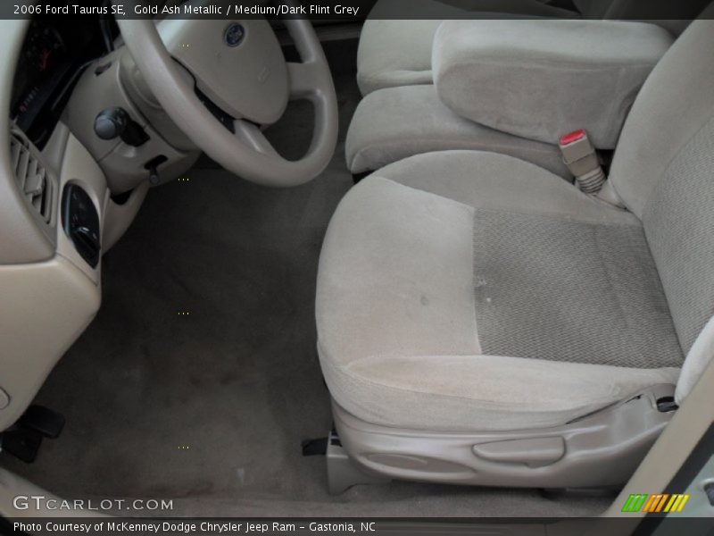 Gold Ash Metallic / Medium/Dark Flint Grey 2006 Ford Taurus SE