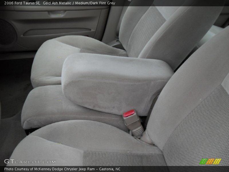 Gold Ash Metallic / Medium/Dark Flint Grey 2006 Ford Taurus SE
