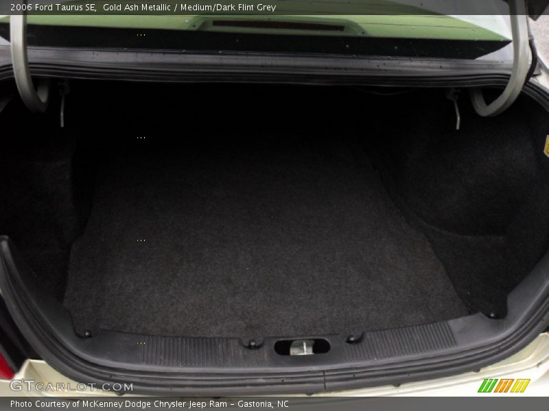 Gold Ash Metallic / Medium/Dark Flint Grey 2006 Ford Taurus SE