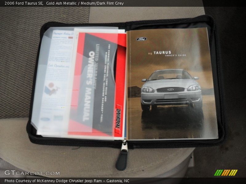 Gold Ash Metallic / Medium/Dark Flint Grey 2006 Ford Taurus SE