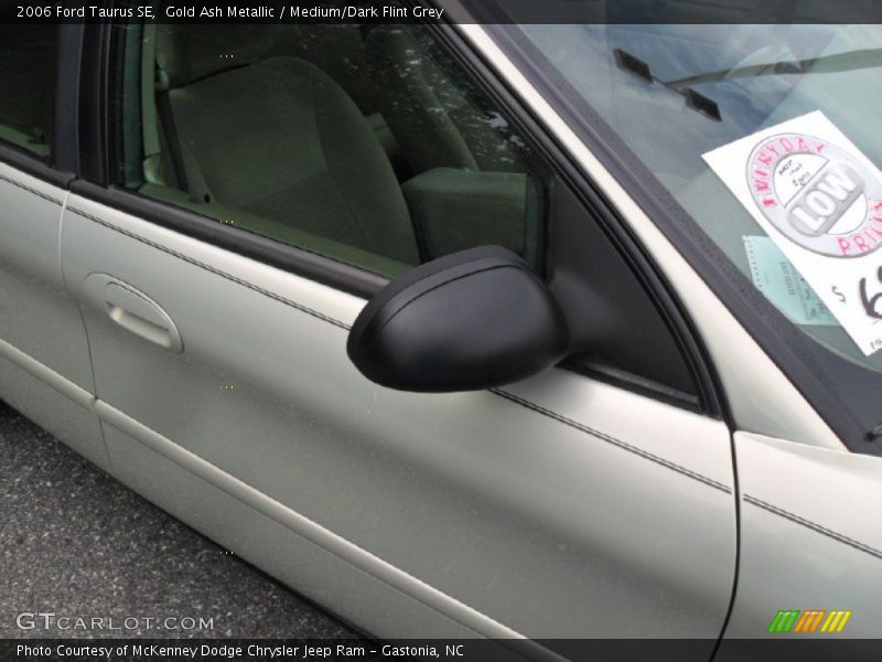 Gold Ash Metallic / Medium/Dark Flint Grey 2006 Ford Taurus SE