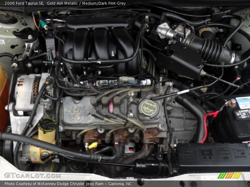 Gold Ash Metallic / Medium/Dark Flint Grey 2006 Ford Taurus SE