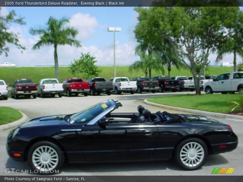 Evening Black / Black Ink 2005 Ford Thunderbird Deluxe Roadster