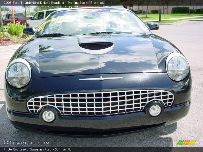 Evening Black / Black Ink 2005 Ford Thunderbird Deluxe Roadster