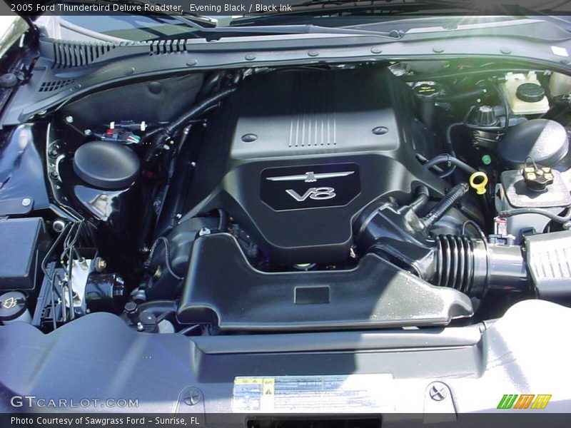 Evening Black / Black Ink 2005 Ford Thunderbird Deluxe Roadster