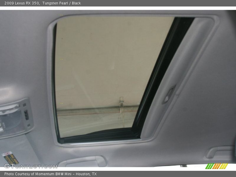 Tungsten Pearl / Black 2009 Lexus RX 350