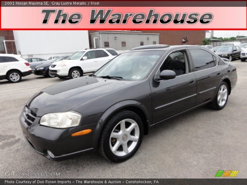Gray Lustre Metallic / Frost 2001 Nissan Maxima SE