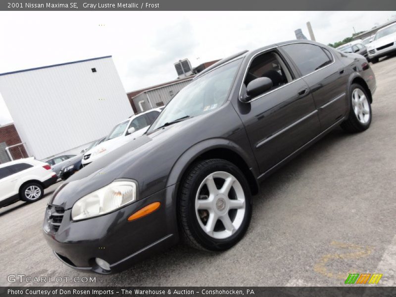 Gray Lustre Metallic / Frost 2001 Nissan Maxima SE