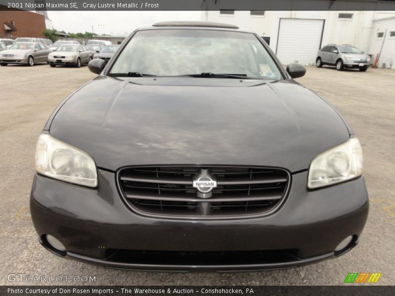 Gray Lustre Metallic / Frost 2001 Nissan Maxima SE