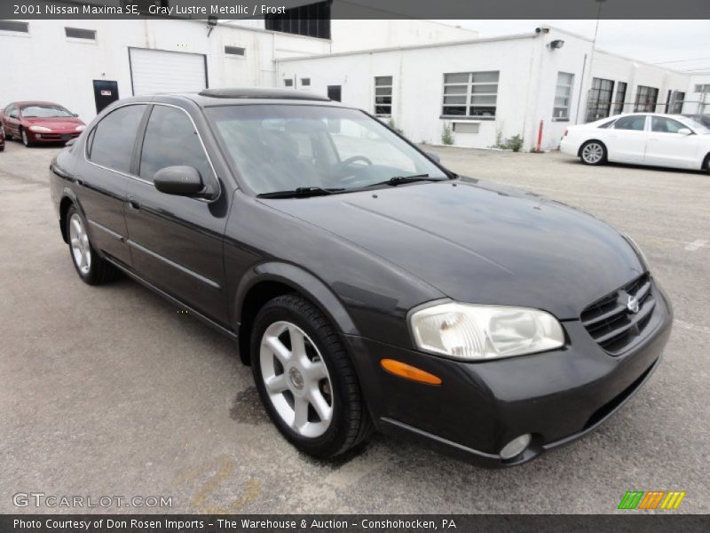 Gray Lustre Metallic / Frost 2001 Nissan Maxima SE
