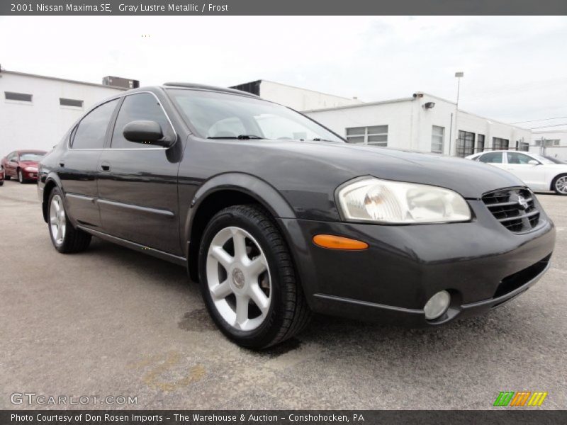 Gray Lustre Metallic / Frost 2001 Nissan Maxima SE